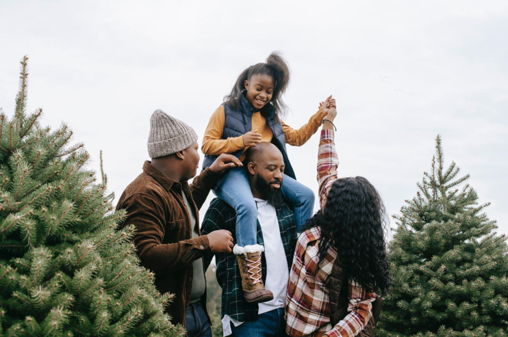 Embrace the Holiday Spirit with Artificial Christmas Wreaths